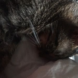 Meet your Posher, Ashlynn